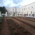 Impianti per aree a verde, parchi e giardini di pregio storico e culturale (Convento degli Agostiniani a Lecce)